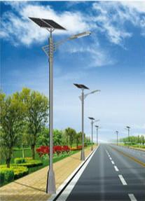 1742827545426759.jpg 甘谷太阳能路灯.jpg