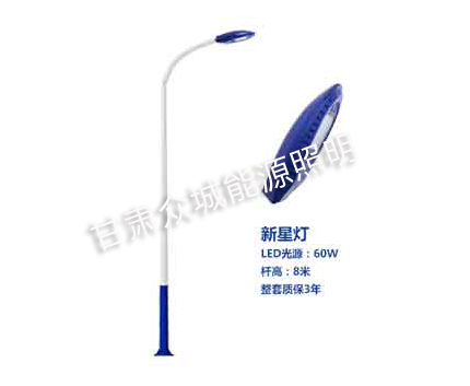 甘谷爆款市电路灯